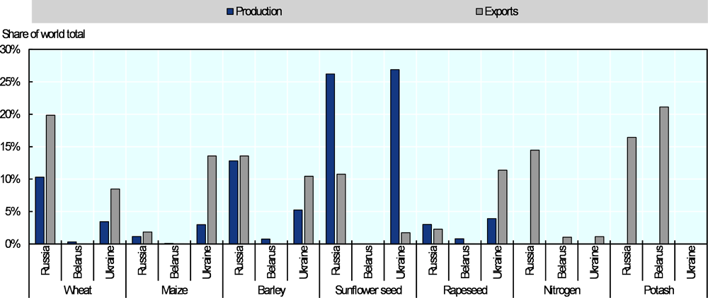 Figure 2.2. Shares of Russia, Belarus and Ukraine in global production and exports of selected agricultural commodities and fertilisers